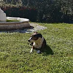 Casa Silvia Padenghe sul Garda